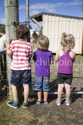 Three young kids peering at ponies through a fence