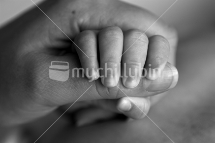 mother & babies hands