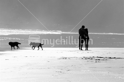 Couple and their dogs walking along Piha beach