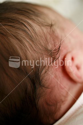 babies hair