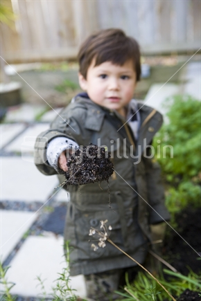 young boy gardening