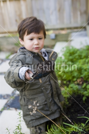 young boy gardening