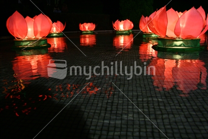 coloured lanterns