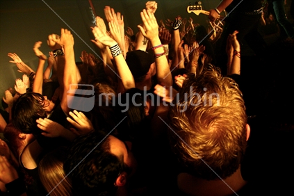 fans at a concert