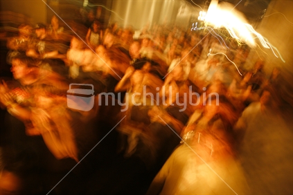fans at a rock concert