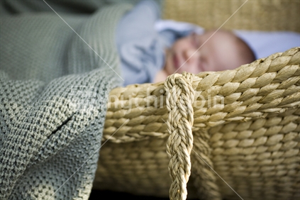 Tiny baby sleeping in moses basket