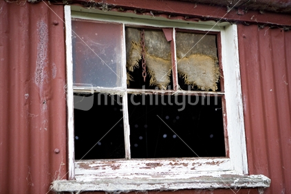 broken window of old farm shed