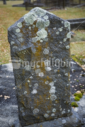 unnamed tombstone growing moss and lichen
