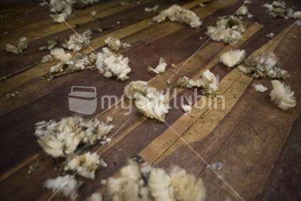wool tufts on woolshed floor