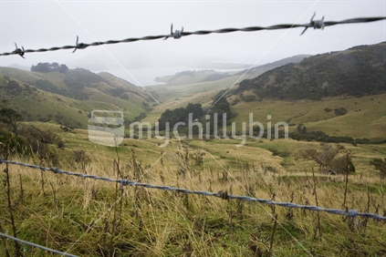 looking through barbed wire fence on Dunedin peninsula