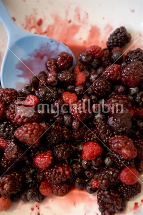 Plate of summer berries