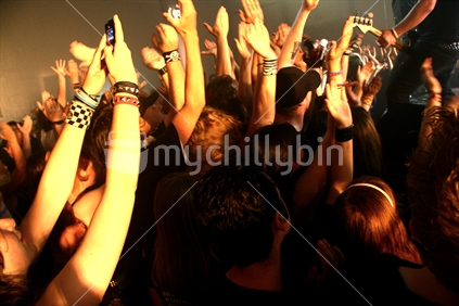 fans at a rock gig