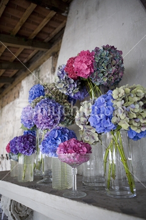 jars and vases of purple and pink hydrangeas