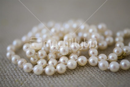 String of white pearls