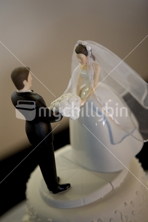 bride & groom cake decoration