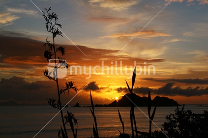 sunrise, Moureeses Bay
