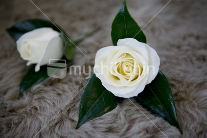 White wedding corsages