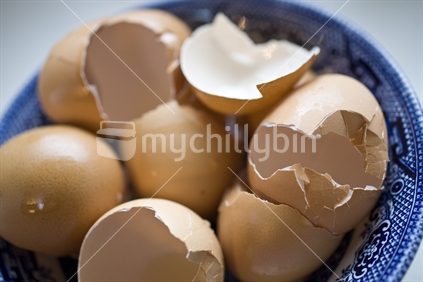 Empty eggshells in a blue dish