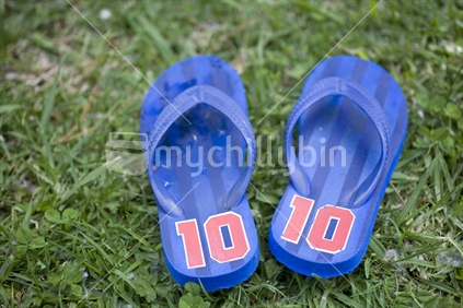 Pair of blue jandals