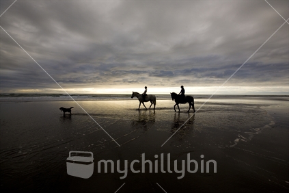 2 horses walking along Piha beach at dusk