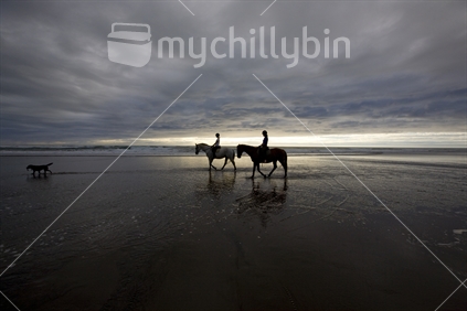 2 horses walking along piha beach at dusk