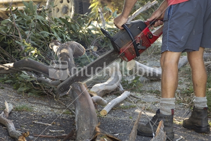 Sawing a fallen tree with a chainsaw. 
 [OSH would recommend the use of Chaps too (special leg protection) that takes the blade away from the flesh - thanks to a previous OSH employee for pointing this out - the chillys ]