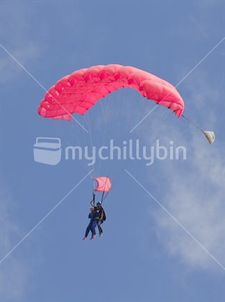 Tandem parachutists descending after free fall.