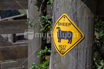 Sheep next 1200km - sign on fence post.