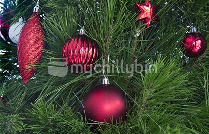 Red baubles hanging on a Christmas tree