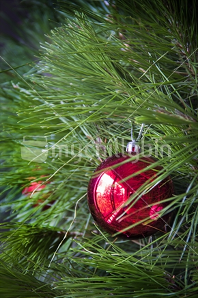 Close up of single red Christmas decoration hanging on a Christmas tree.