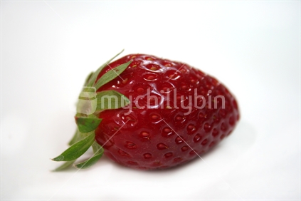 Juicy summer strawberry