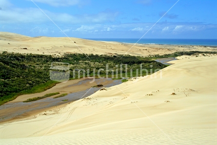 Te Paki stream, a link between the dunes and ninety mile beach