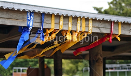 Ribbons are proudly displayed at an Agricultural Show