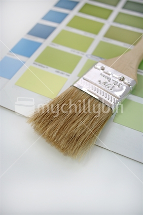 Paint brush and colour samples