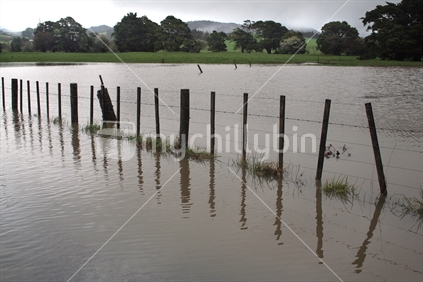 Flood waters and fence in a farm paddock