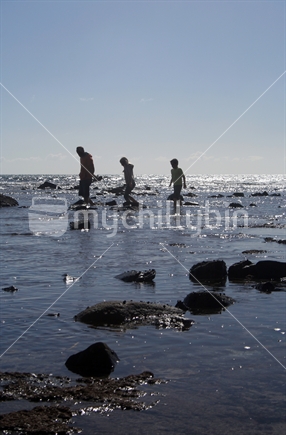 An adult leads two children in the water at low tide