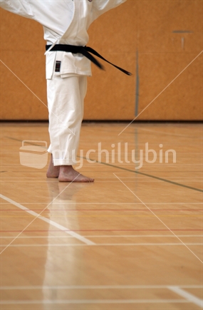 Black belt Karate Sensai. Room for copy.