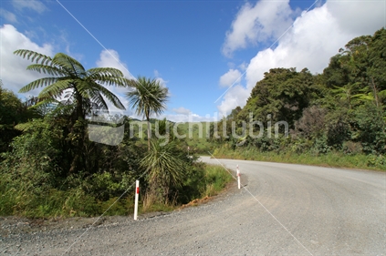 Dirt road in the back of Leigh, Northland