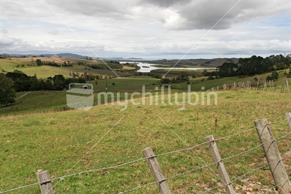 Farmland in rural Tapora with the Kaipara harbour in the distance. 