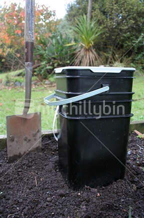 Bokashi fermenting system, bucket in garden, New Zealand