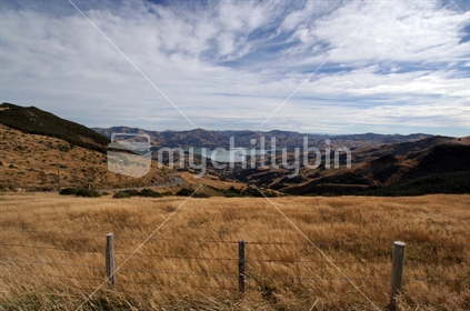 Looking out over Akaroa Harbour from central Banks Peninsular, New Zealand