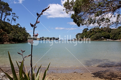 Leigh Harbour, Rodney, New Zealand, landscape format.