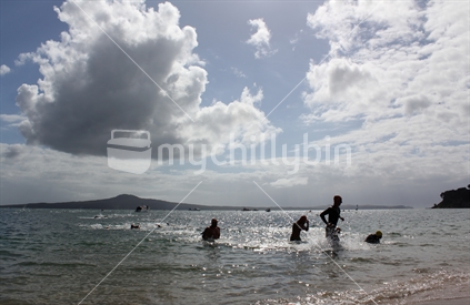 Swimmers at the finish of the Rangitoto to St Heliers harbour swim. 