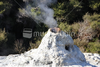 The silica cone of Lady Knox geyser, Rotorua