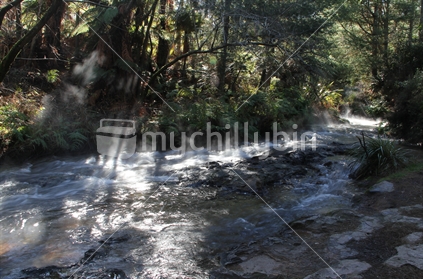 Kerosene creek, a natural hot spring near Murupara