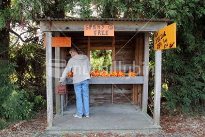 A man buys mandarins at a spray free roadside stall, pays at the honest box.