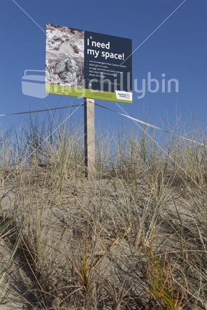 Informative sign about dotterel nesting space at Omaha Shorebird sanctuary. 