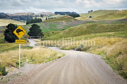 Hawkes Bay back country road, with Kiwi crossing sign.