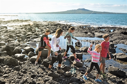 Rangitoto and rockpool walk (see also Image #100468_638)