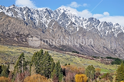 The Remarkables and Autumn trees